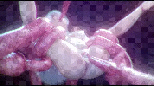3378 (9).gif